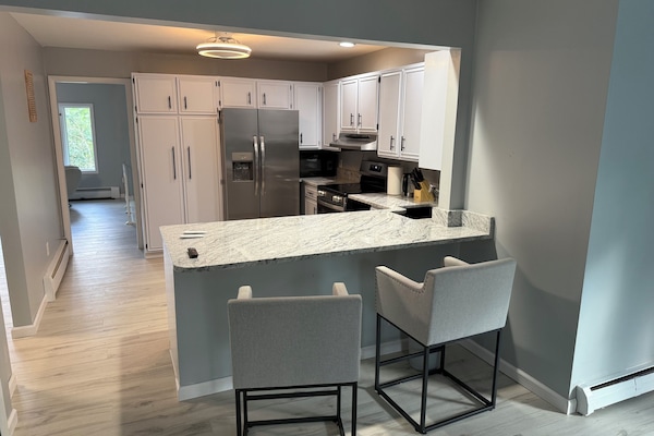 Mikrovågsugn, ugn, spishäll och diskmaskin