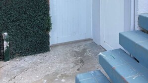 A white door with a metal handle, a concrete ground, and a green hedge covering the wall.
