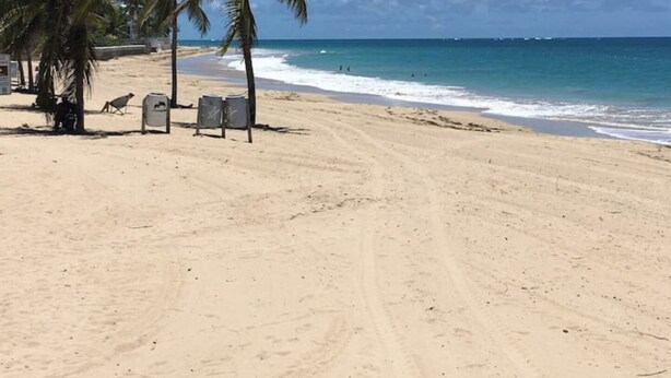 Una playa arenosa con palmeras y un cielo azul despejado.
