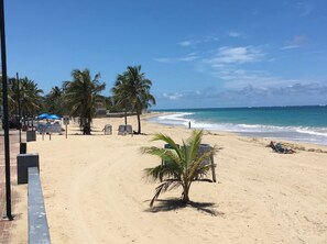 A beach with palm trees, a few beach chairs, and a small kiosk.