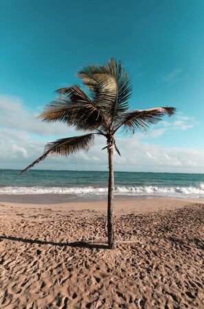 Playa