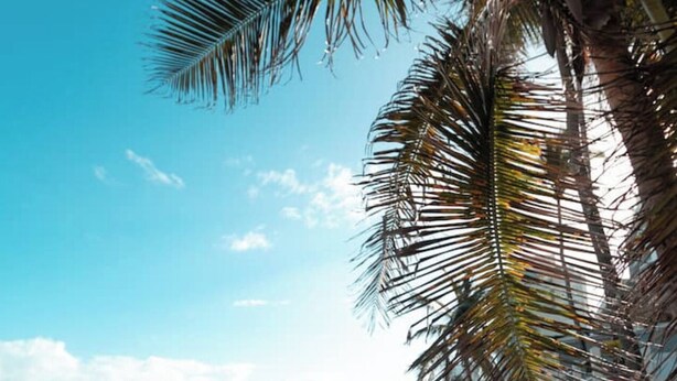 A beach with a person walking, palm trees, and buildings in the background. - Beach House Walk to The Beach #8 (San Juan)