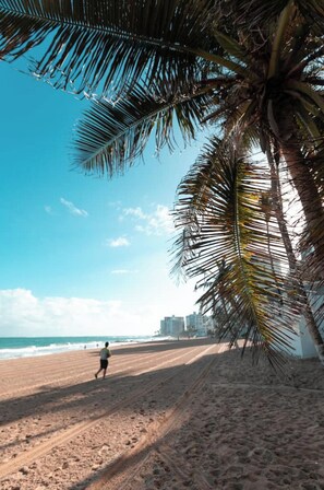 A beach with a person walking, palm trees, and buildings in the background.