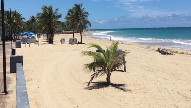Une plage bordée de palmiers, quelques chaises longues et un petit kiosque.