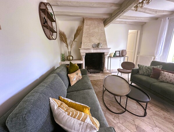 TV, fireplace, books