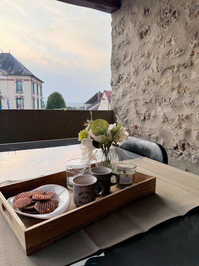 Family gîte in the Champagne vineyards 