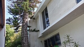 A modern building with a large tree in front, a balcony with a metal railing, and a window with a view of the sky. - Estancia monraz (Guadalajara)