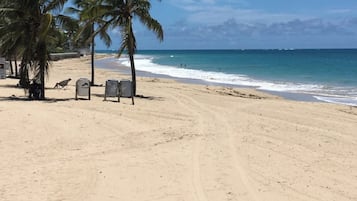 Camastros y toallas de playa