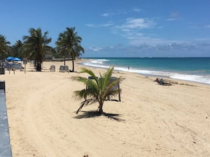 Chaises longues, serviettes de plage