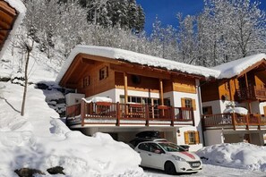 Exterior - Authentic Mountain Retreat for 12 (Wald im Pinzgau)