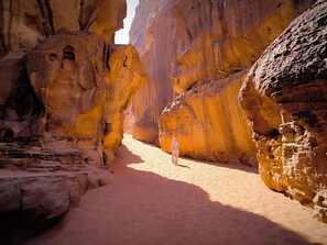 Ecotours - Sleep Under The Stars Wadi Rum Desert (Wadi Rum)