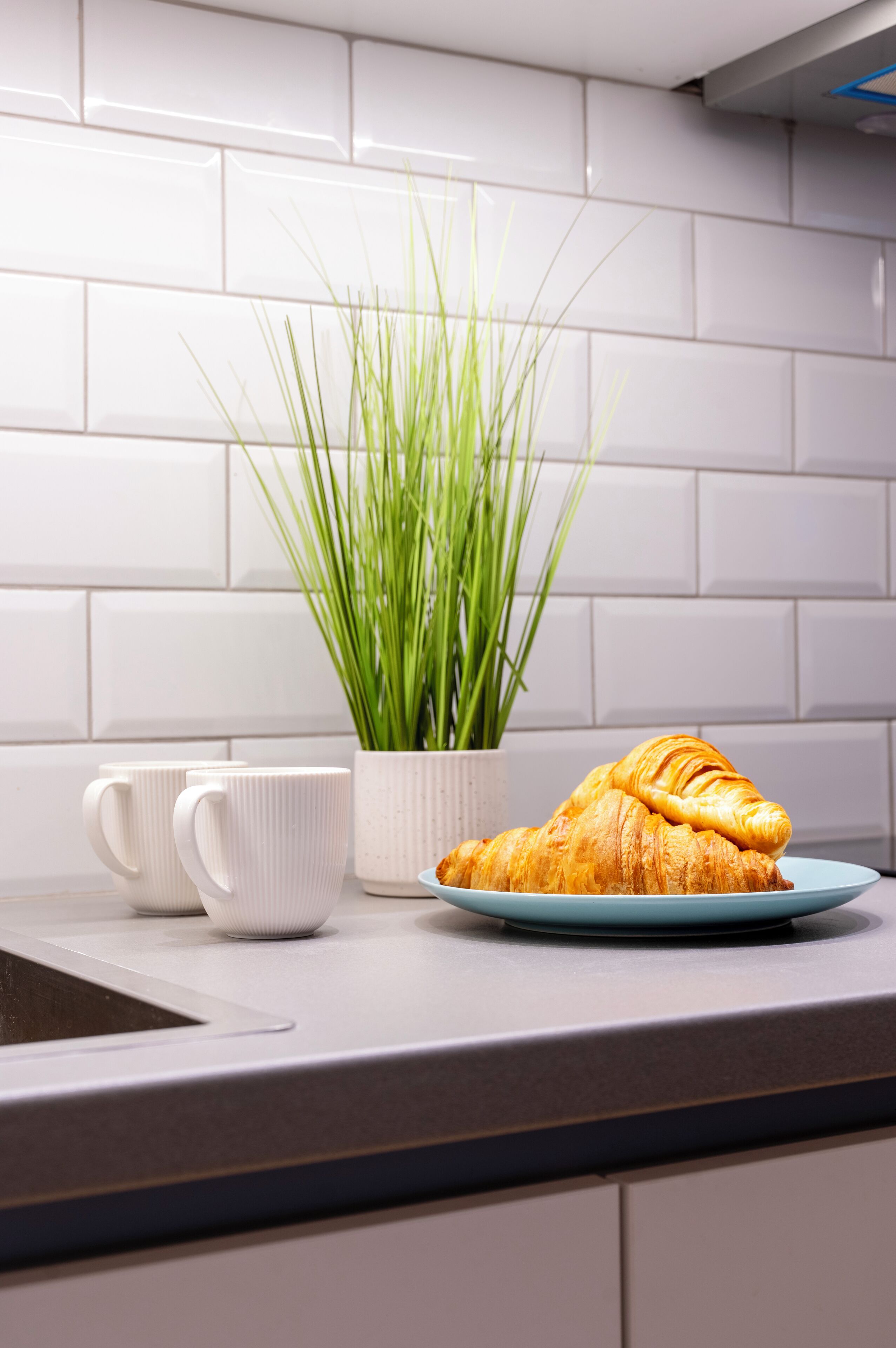 A kitchen counter with a plate of croissants, two white mugs, and a potted plant.