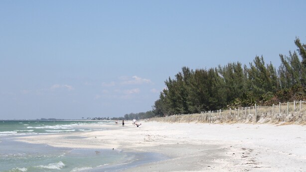 Ein Strand mit sandigem Ufer, einer Holzlattenverkleidung und einer Baumreihe im Hintergrund.