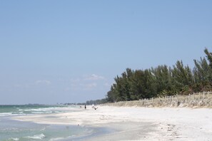 A beach with a sandy shore, a wooden fence, and a line of trees in the background.