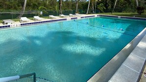 Ein rechteckiger Swimmingpool mit klarem, blauem Wasser, umgeben von einer weißen Poolterrasse und blauen Fliesen. Entlang des Poolrandes befinden sich weiße Liegestühle und im Hintergrund Palmen.