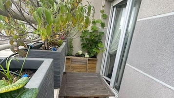 Terras