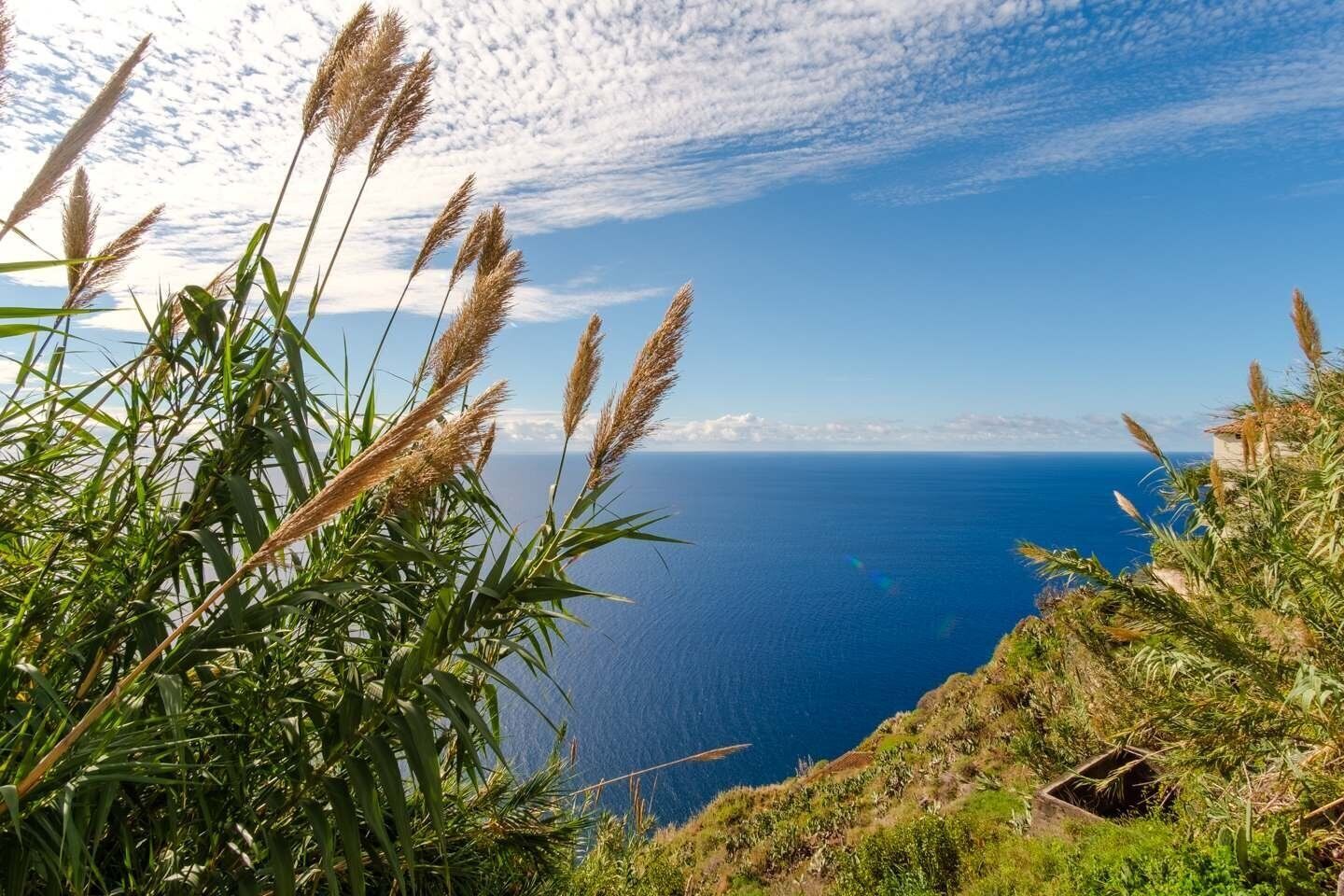 A coastal landscape with a view of the sea and a building with a sloped roof.