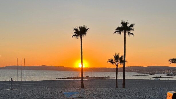 A beach with palm trees and a sunset.