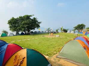 A campsite with multiple tents arranged in rows on a grassy field, with trees and a view of the sea in the background. - Camping in Pawna Lake (Mawal)