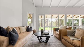 TV, fireplace, books