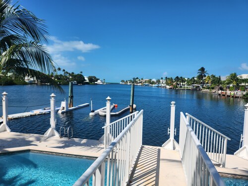 Palm Tree Cove Resort 