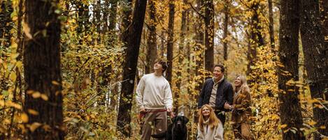 A group of people in a forested area with trees and fallen leaves.