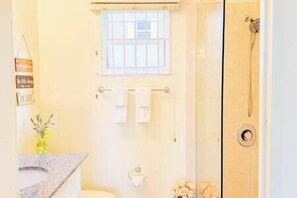 Hair dryer, towels - Oceanview couples retreat*pool/raft/beach/shuttle (Falmouth)