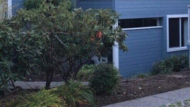 Un edificio residencial de dos pisos con fachada azul, un balcón visible en el nivel superior y un pequeño jardín con diversas plantas.