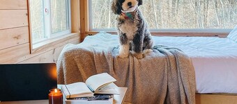 布拉索斯山谷明信片小屋