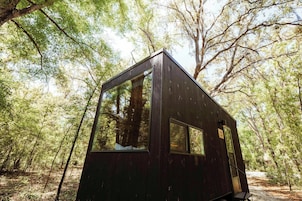Una cabaña pequeña y oscura con ventanas grandes y una puerta, rodeada por un bosque.
