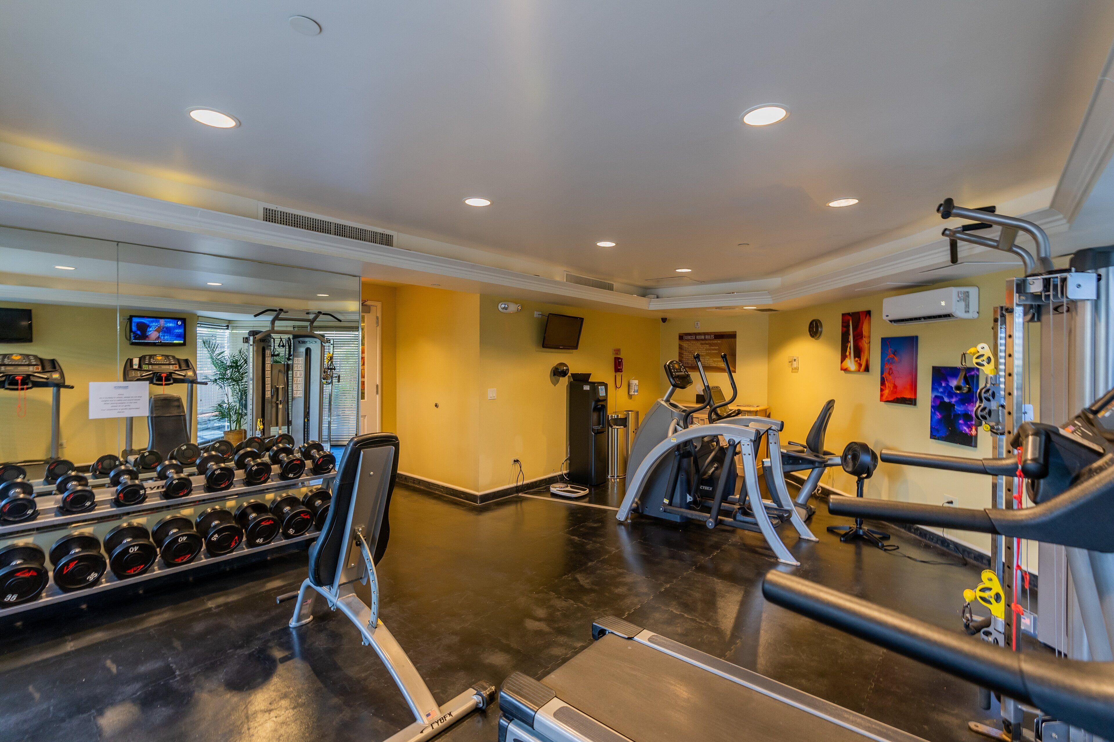A gym with treadmills, dumbbells, and exercise machines.