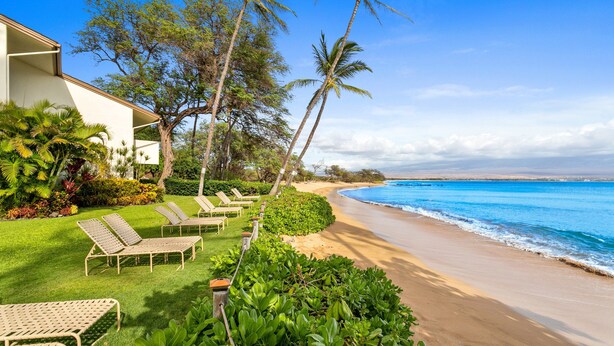 Un resort frente a la playa con una fila de tumbonas, palmeras y vista al océano.