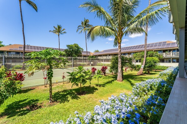 Sport court