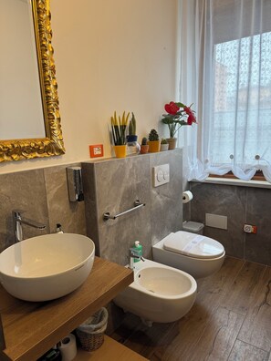 Shower, hair dryer, bidet, towels