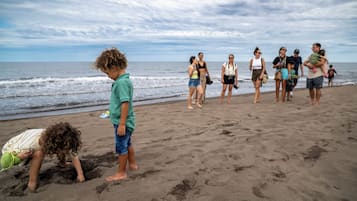 Servicio gratuito de transporte a la playa
