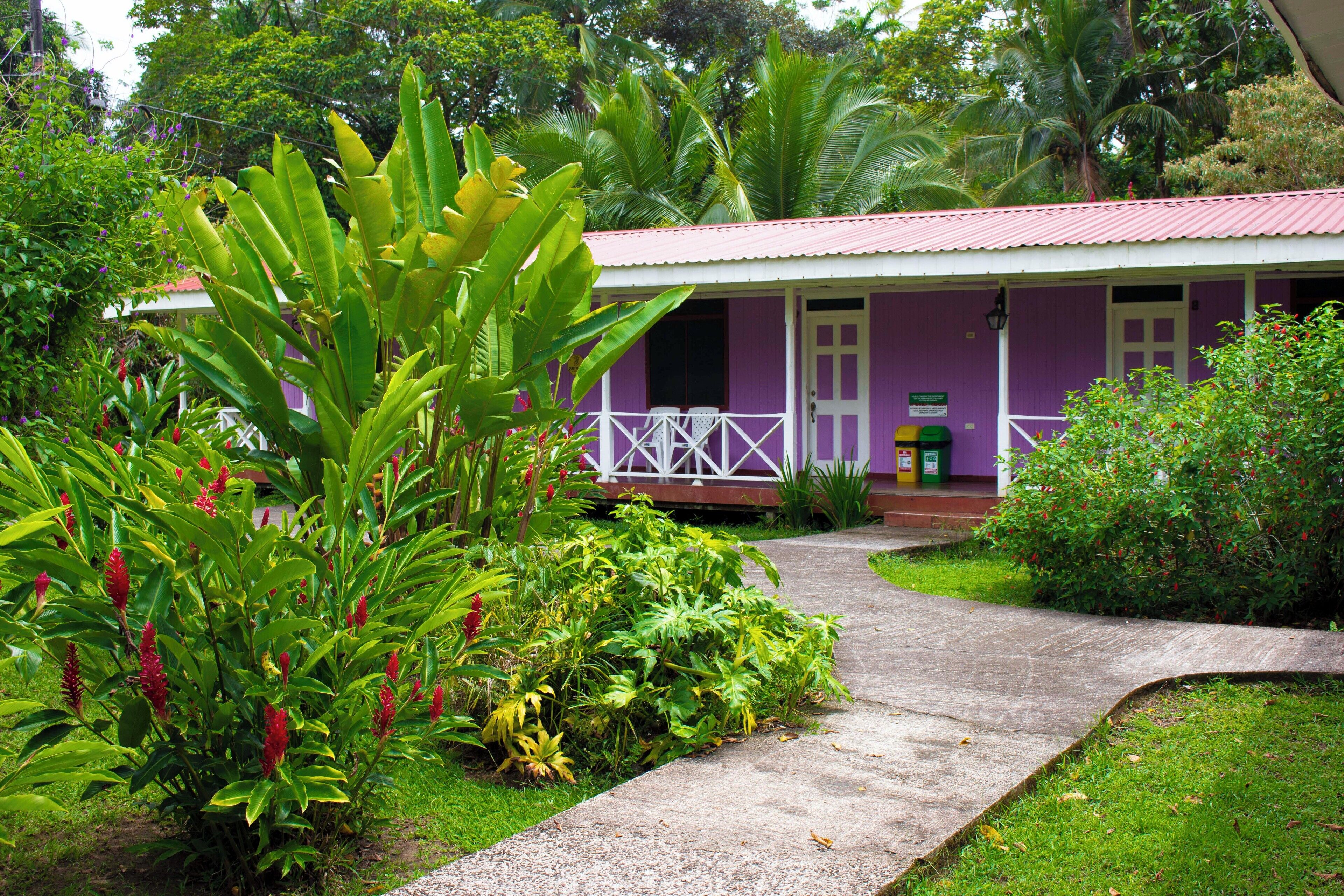 A purple building with a red roof, surrounded by lush greenery and a concrete pathway.