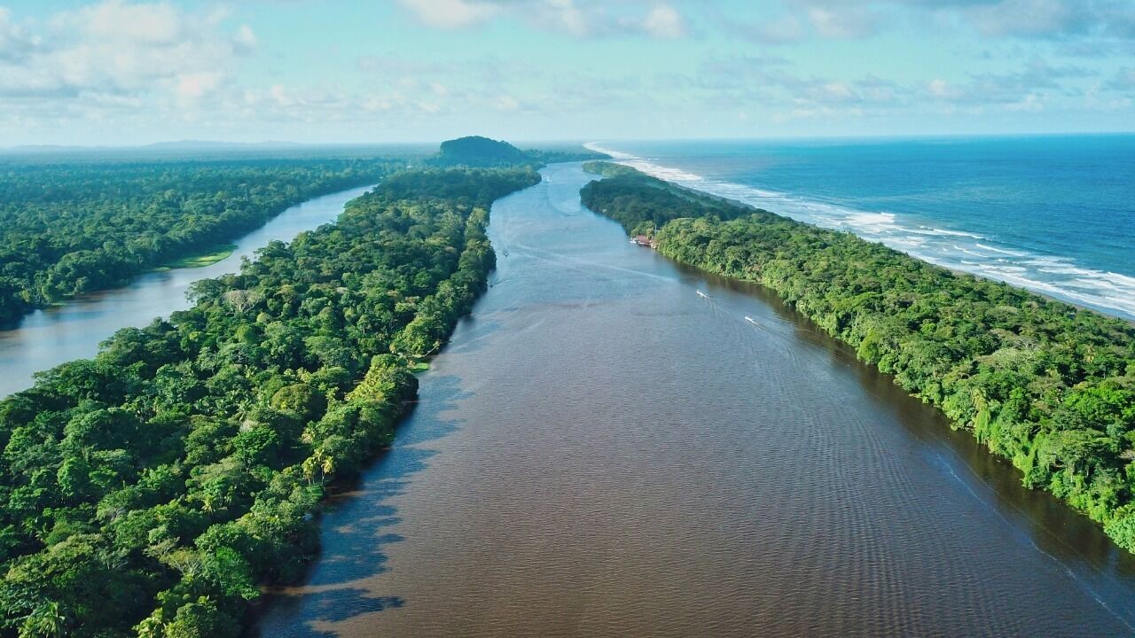 An aerial view of a river flanked by dense green forest, with a clear sky above.