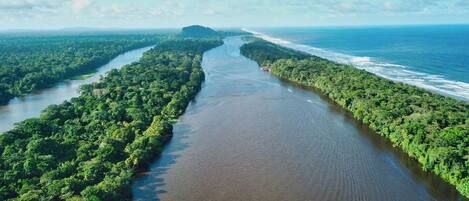 An aerial view of a river flanked by dense green forest, with a clear sky above.
