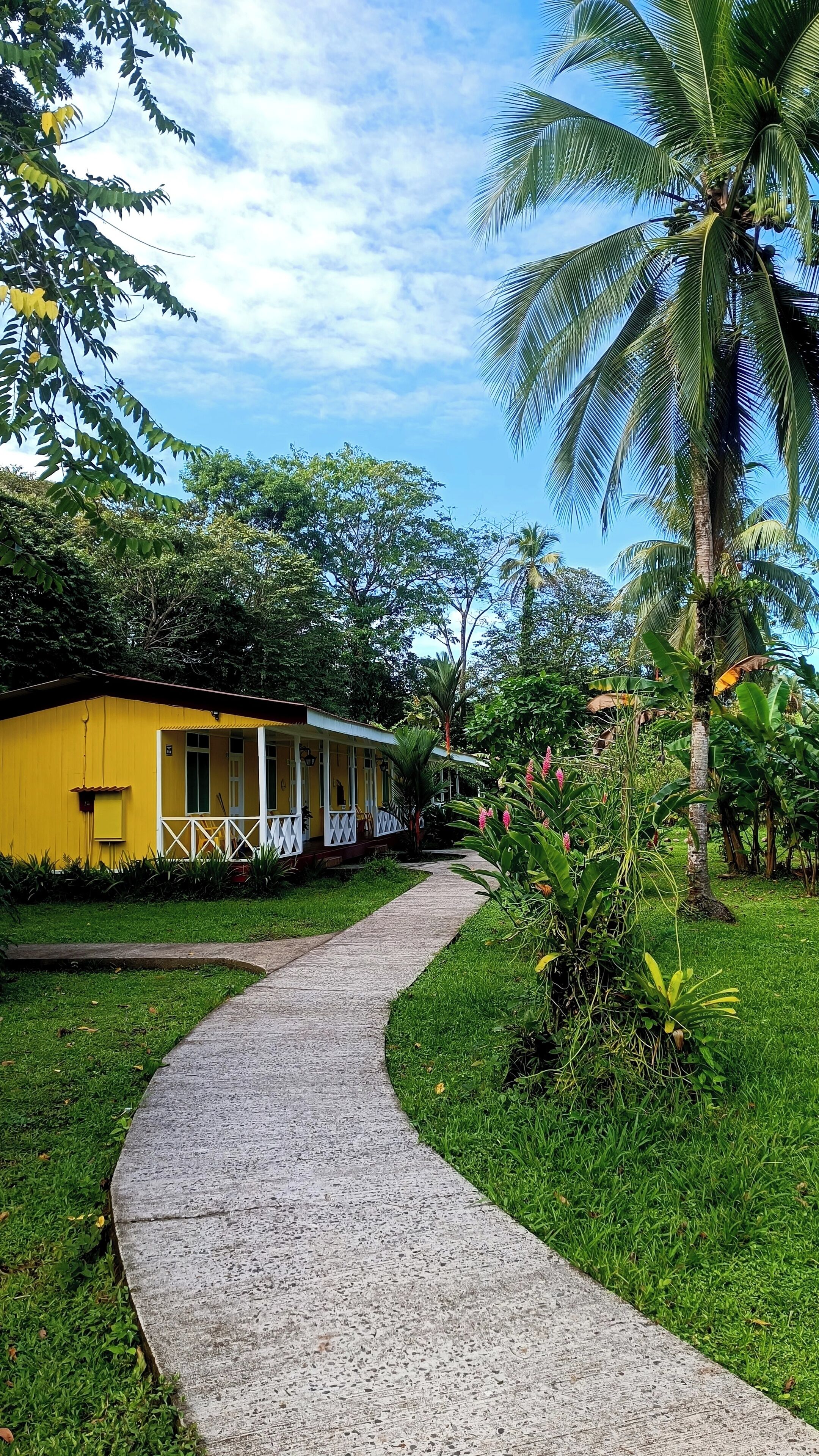 Standard Double Room, Garden View | Blackout curtains, free WiFi, bed sheets