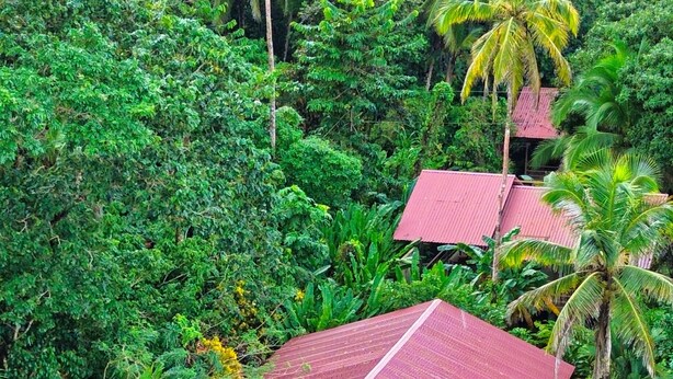 A house with a red roof, a swimming pool, and surrounded by lush greenery. - Valverde Glamping & Ecolodge (Colorado)