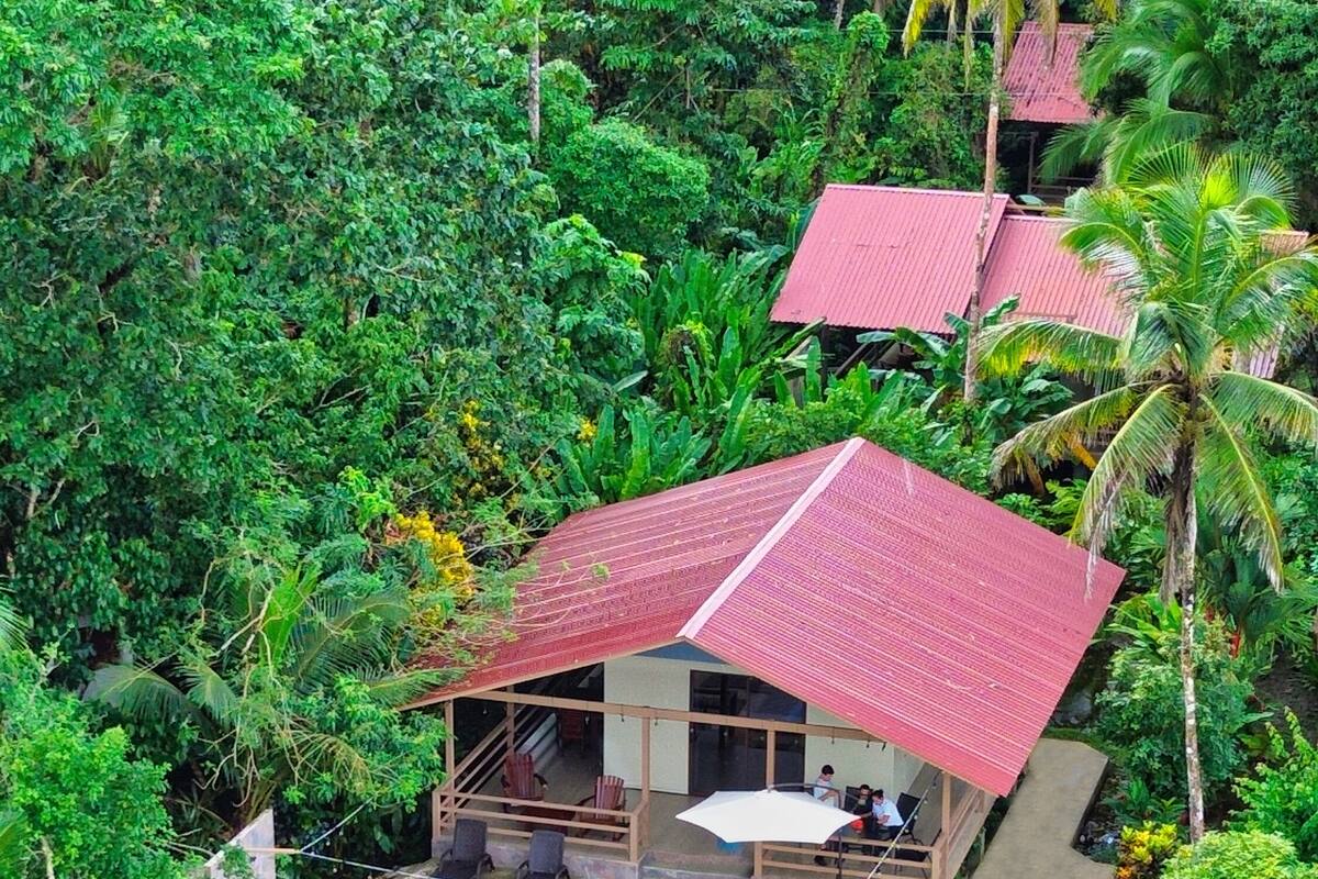Ein Haus mit rotem Dach, einem Schwimmbecken und üppiger, grüner Bepflanzung.