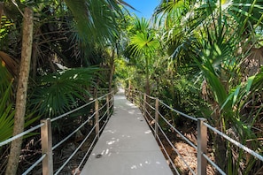 A concrete pathway flanked by metal railings, surrounded by dense tropical foliage.