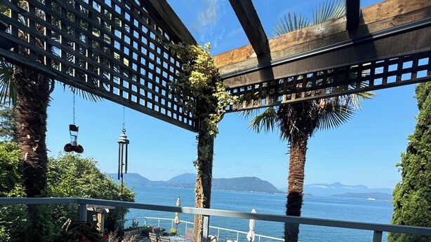 A glass table with a cup and saucer, a chair, and a bird on the table. - Pacific Gem 💎 Ocean Front  (West Vancouver)