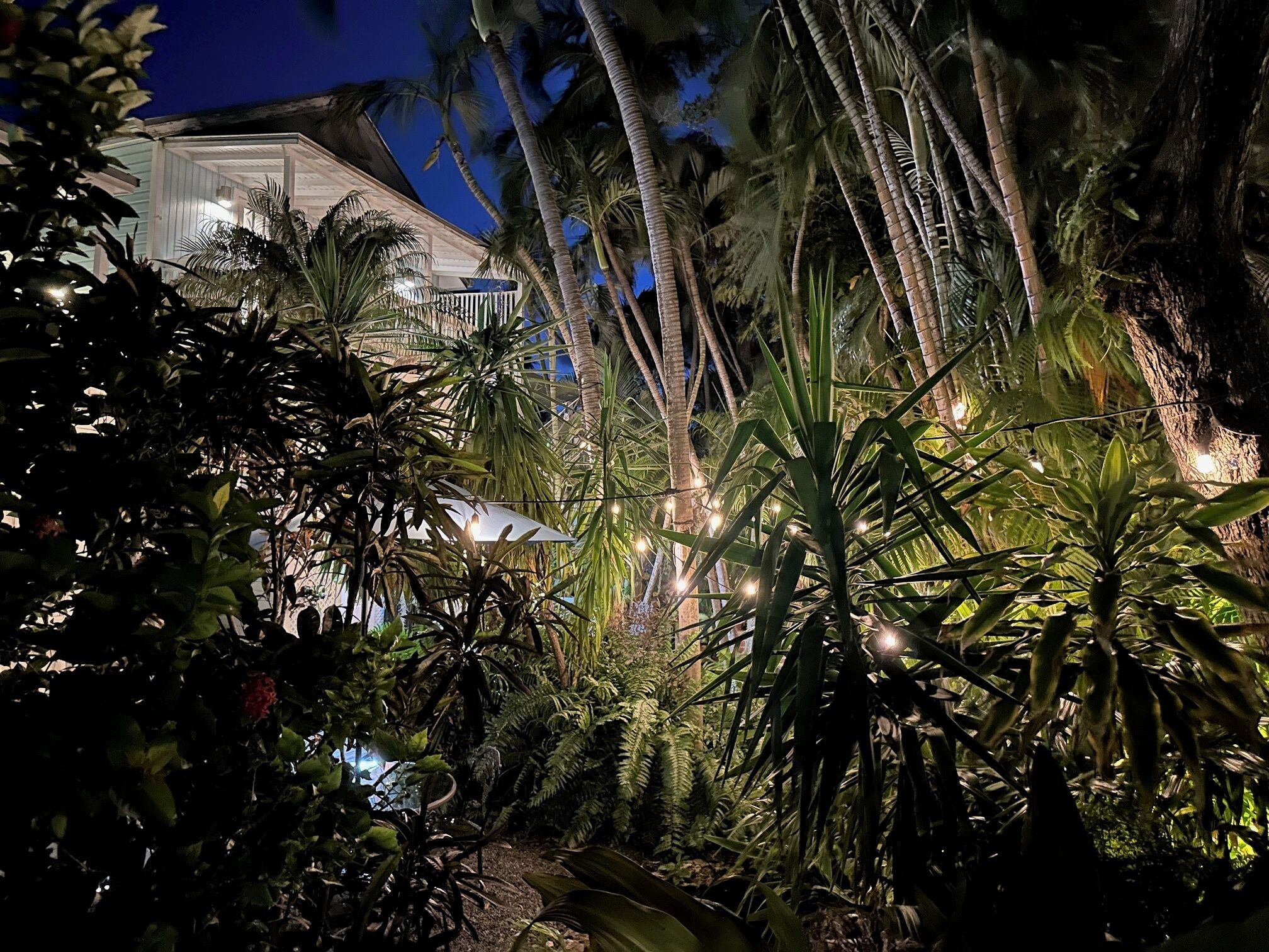 Foto - Douglas House Adult Only