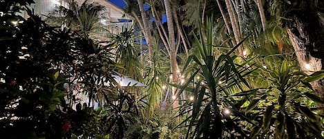 Un jardín tropical con una casa al fondo.