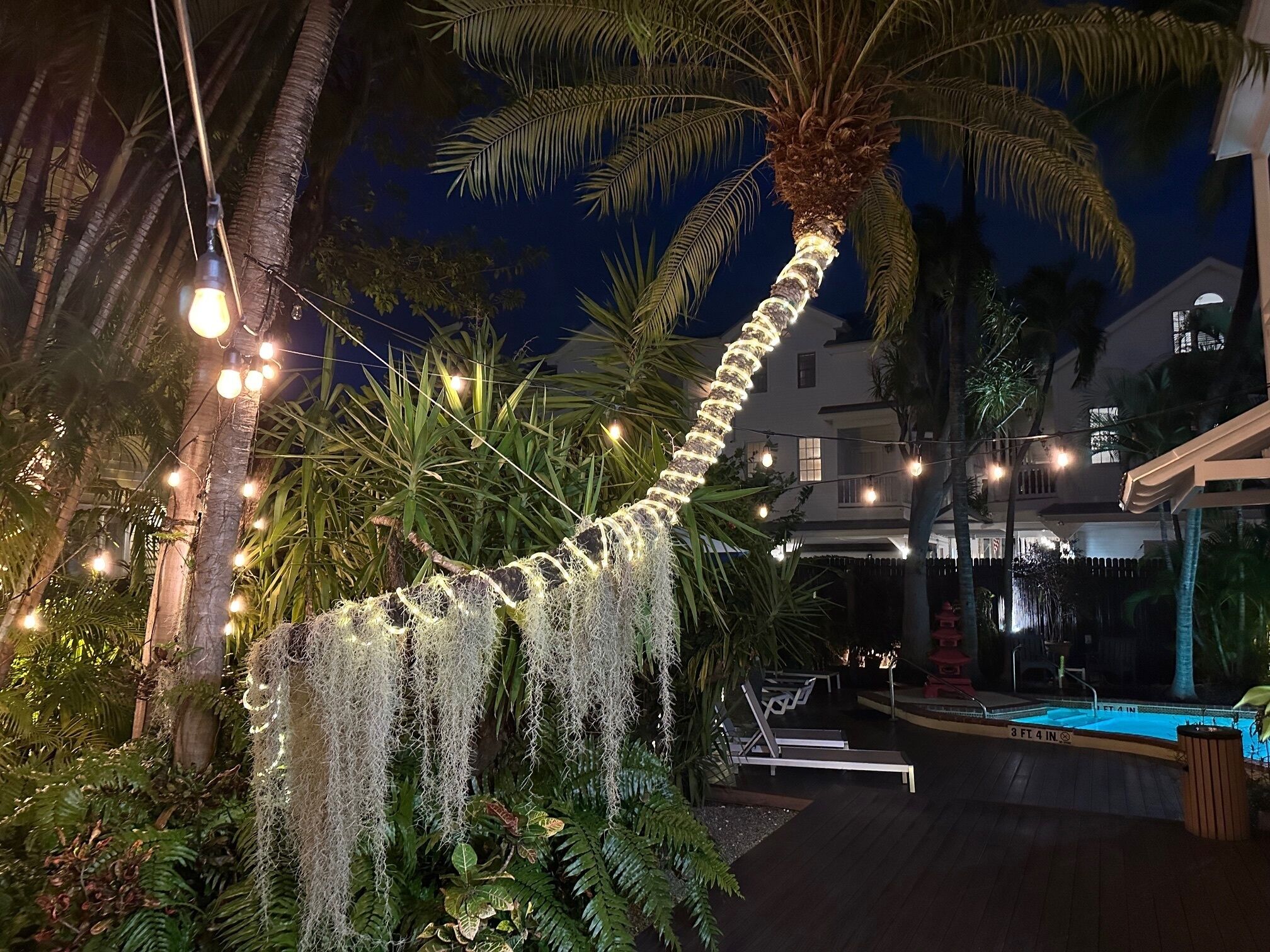 Foto - Douglas House Adult Only