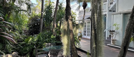 Une terrasse avec une table en verre et des chaises en bois, entourée d’une végétation luxuriante et de palmiers.