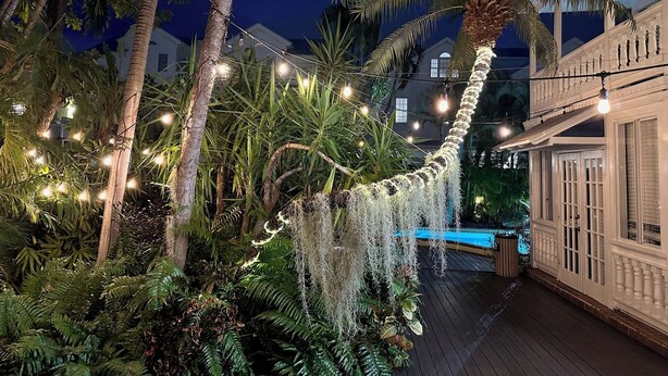 A tropical outdoor area with palm trees, hanging plants, and string lights. - Douglas House - Adults Only (Key West)