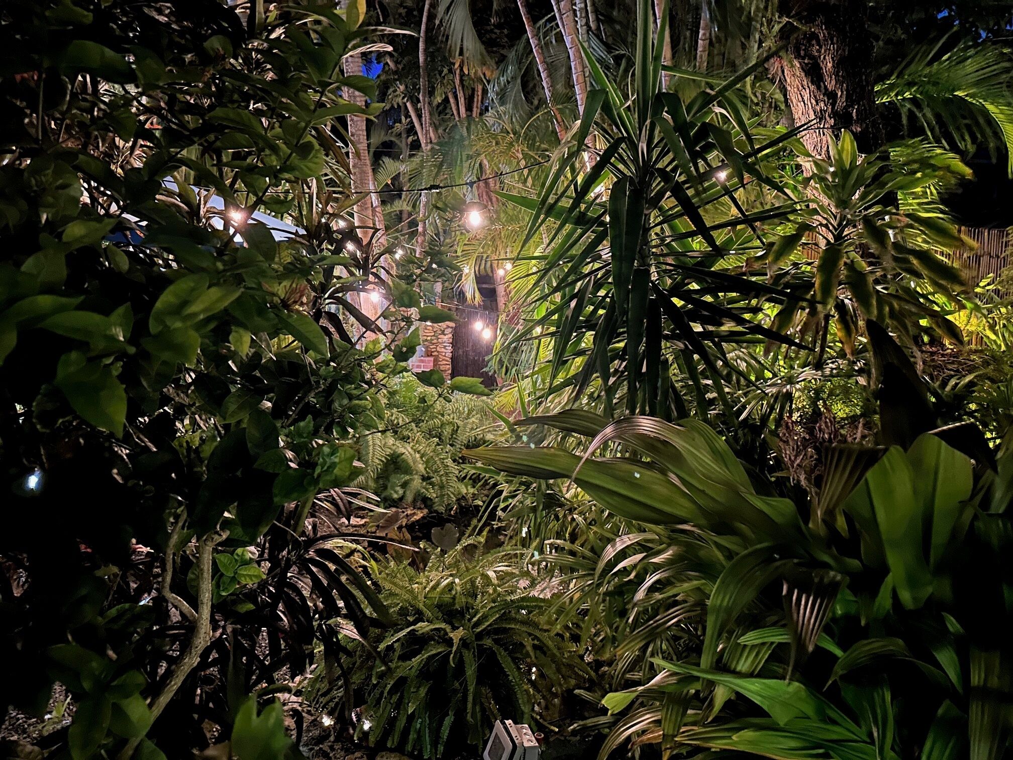 Jardín
