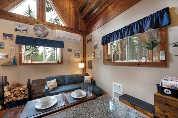 Smart TV, fireplace, books